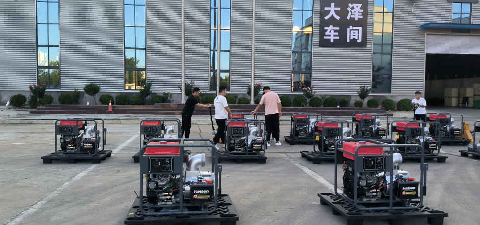 8寸柴油机抽水泵 双缸风冷动力 电启动TO80ET-大泽动力官网_大泽动力发电机_大泽动力发电电焊机_大泽动力厂家